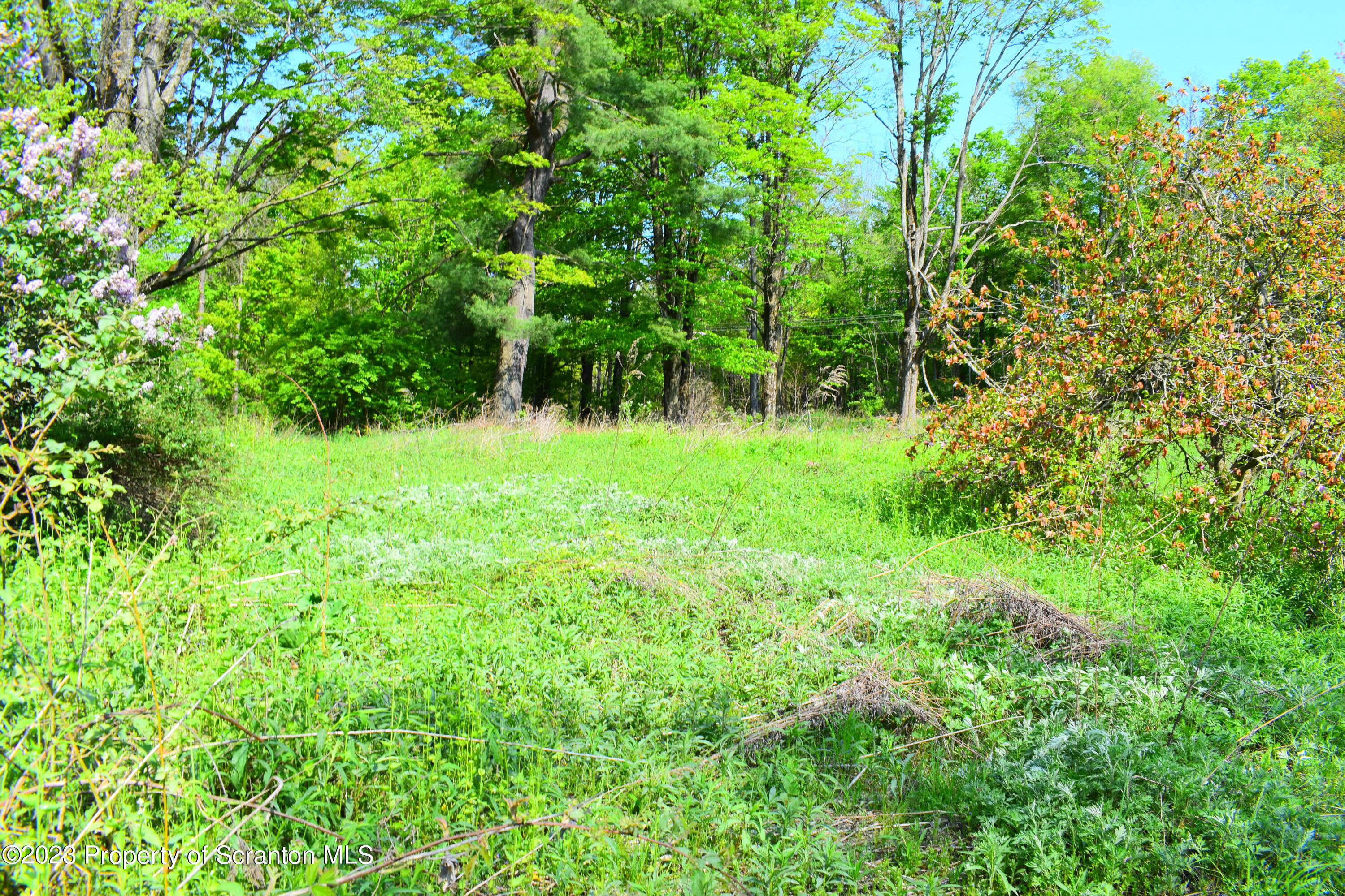 Forks Hill Road Montrose, PA 18801 - Photo 1 of 13 Acreage