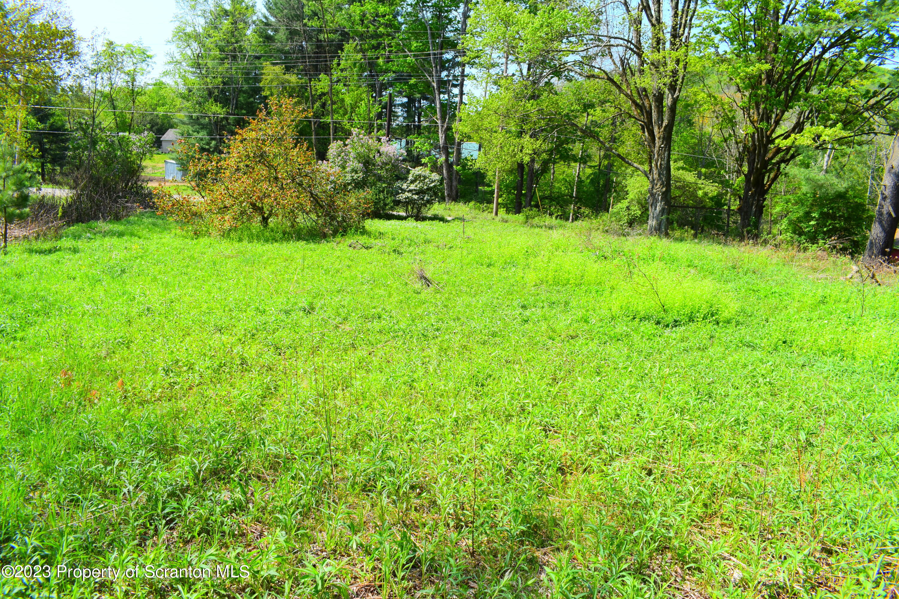 Forks Hill Road Montrose, PA 18801 - Photo 4 of 13 Acreage