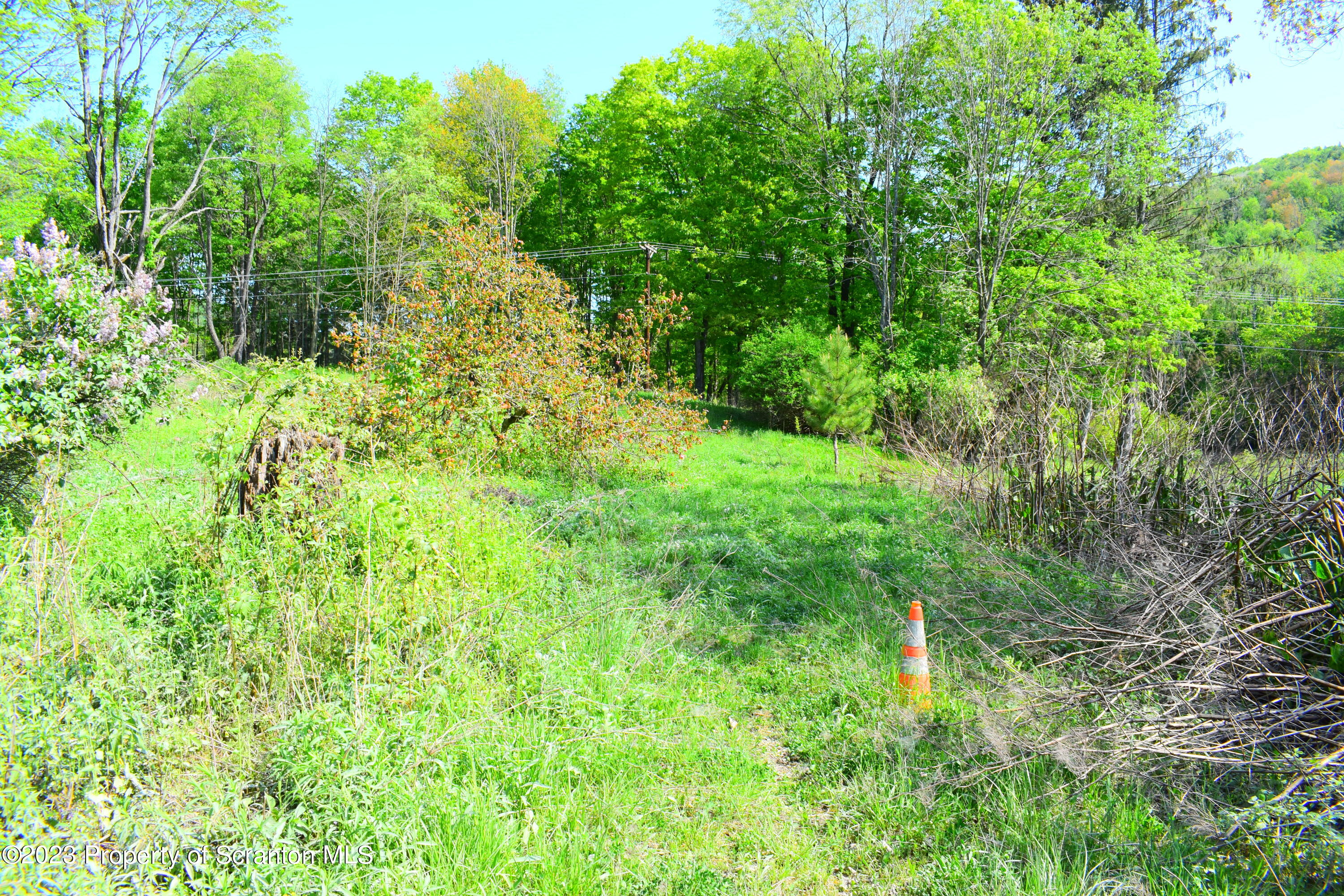 Forks Hill Road Montrose, PA 18801 - Photo 5 of 13 Acreage