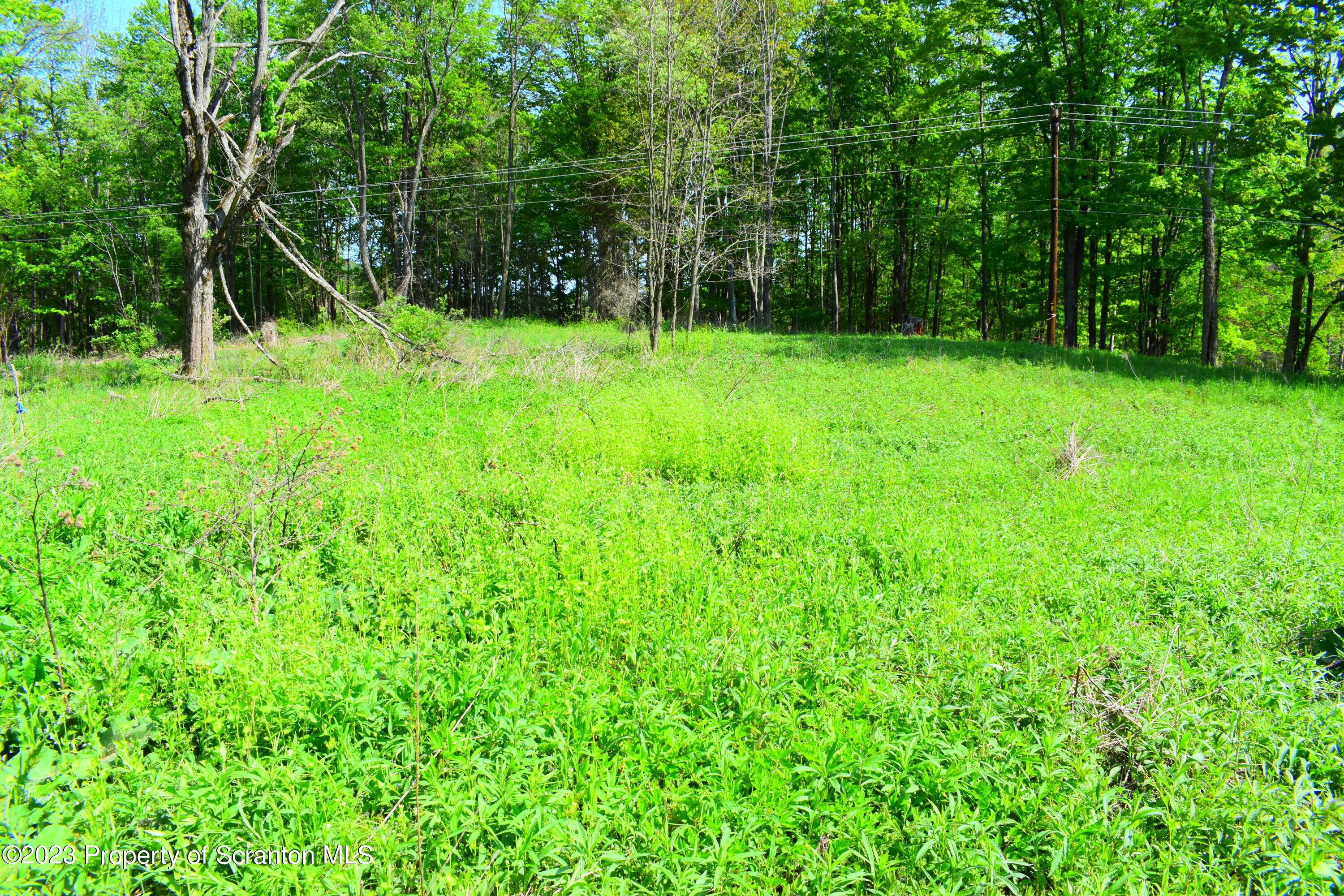 Forks Hill Road Montrose, PA 18801 - Photo 8 of 13 Acreage