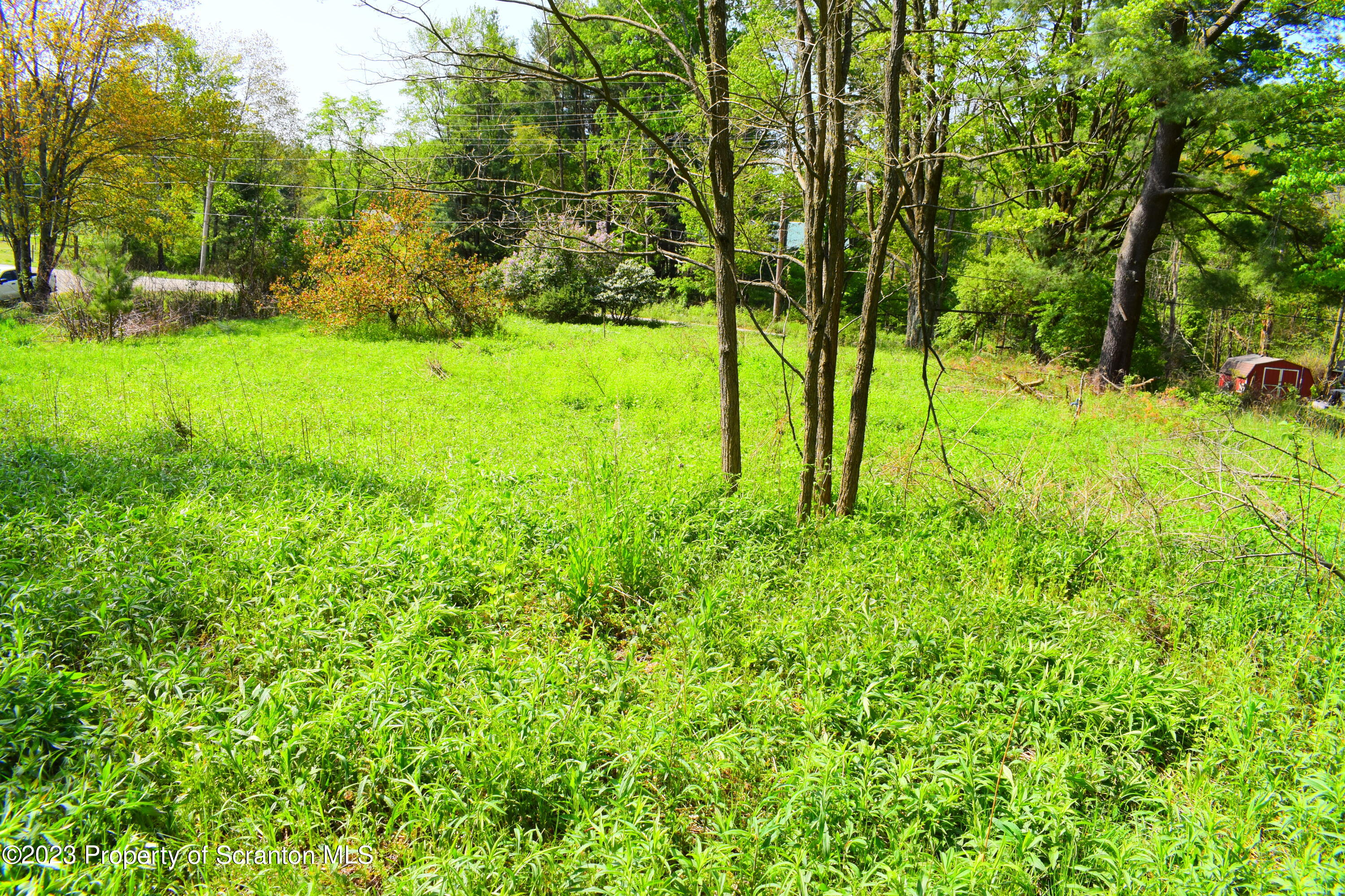 Forks Hill Road Montrose, PA 18801 - Photo 10 of 13 Clearing