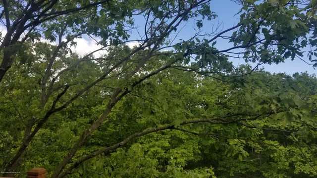 a bathroom with a granite countertop sink toilet and mirror