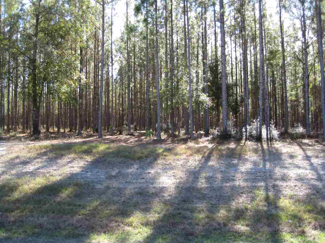 Lot G6 Ranch Club Road Tallahassee, FL 32305 - Photo 3 of 25