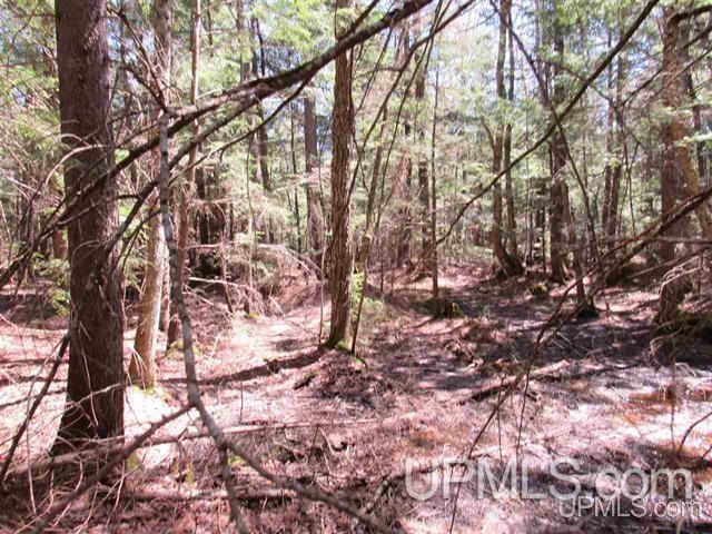 Tbd Klingville Road Chassell, MI 49916 - Photo 5 of 8