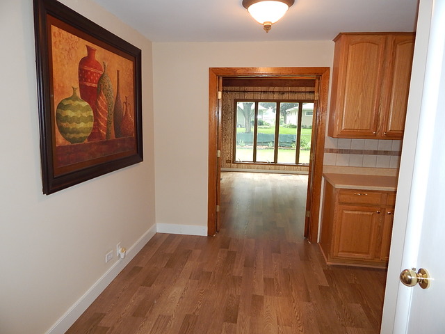 886 Diane Avenue Elgin, IL 60123 - Photo 4 of 22