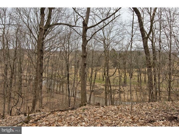 705 Blue School Road Perkasie, PA 18944 - Photo 23 of 25 Gallery Image 23