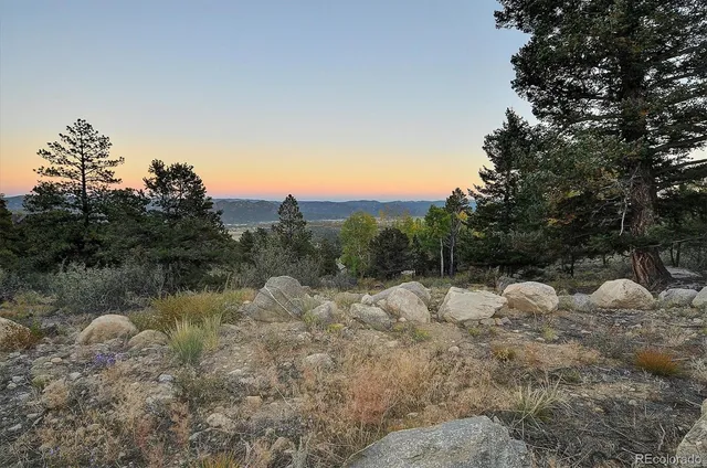 a view of a bunch of trees in a field