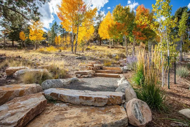 a view of outdoor space and yard
