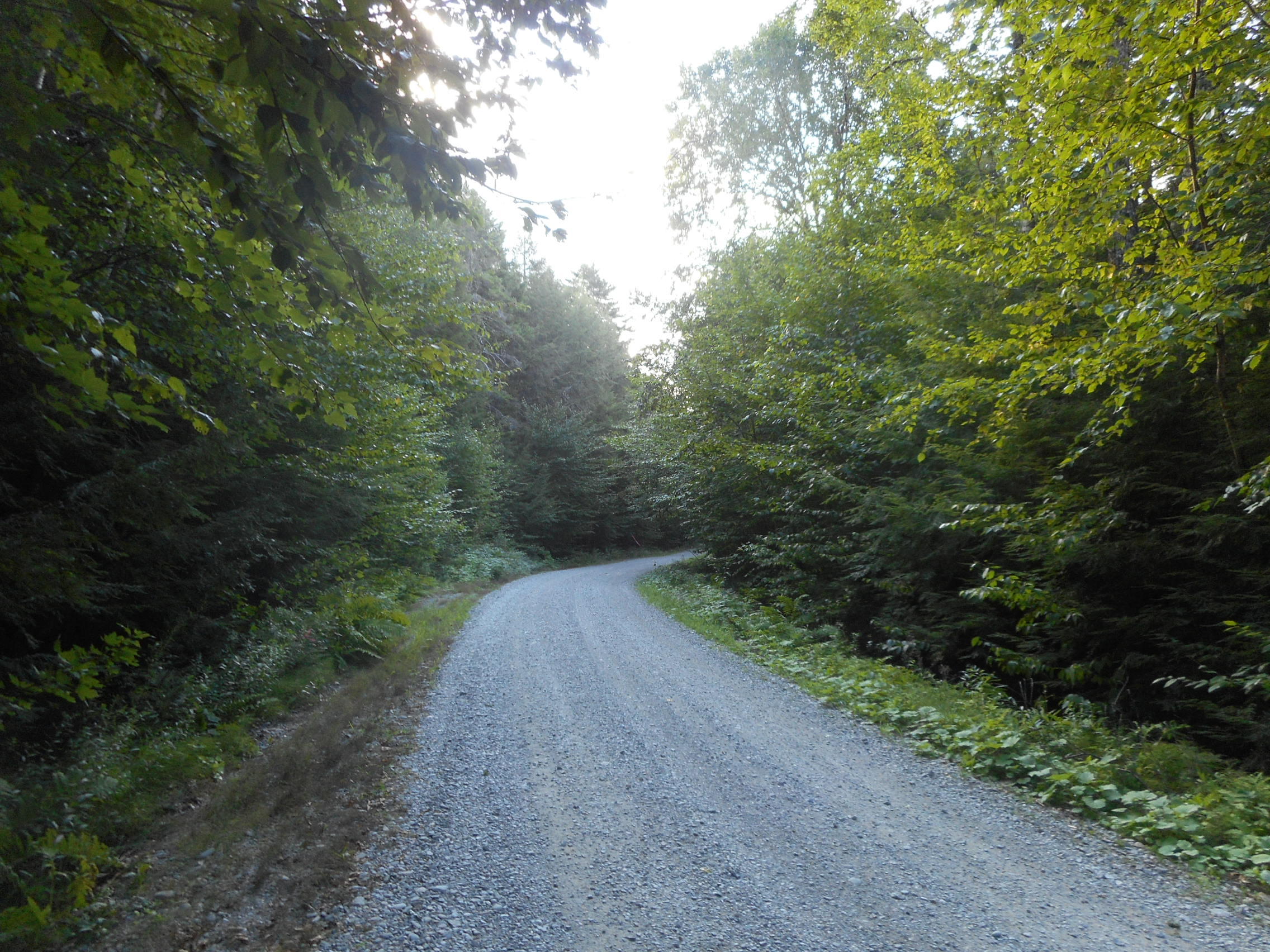 Tbd Trail End Road Lincoln, ME 04457 - Photo 9 of 13 DSCN2601