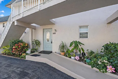 a potted plant sitting in front of a house