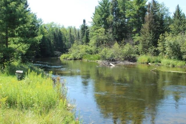 1230 South McMasters Bridge Road Grayling, MI 49738 - Photo 3 of 29 Gallery Image 3