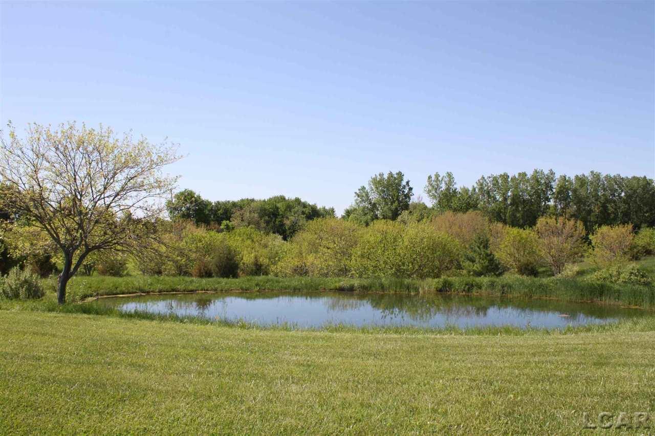 Pond