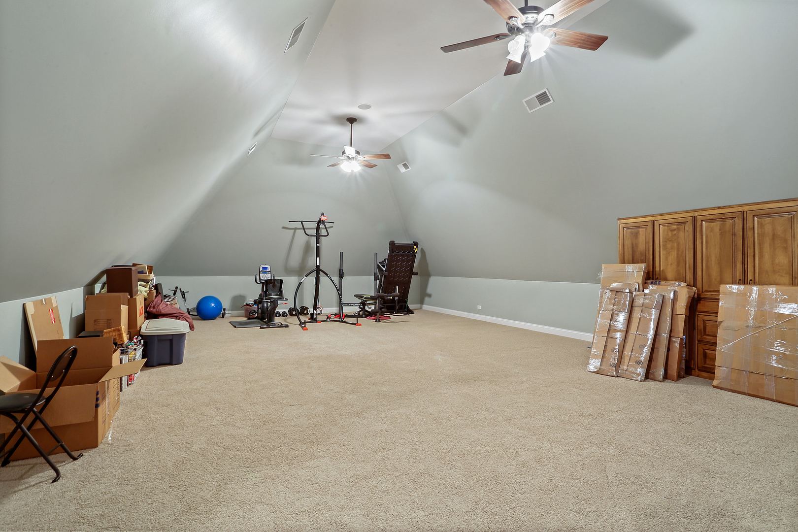 20133 Alison Trail Mokena, IL 60448 - Photo 35 of 42 a view of a room with gym equipment