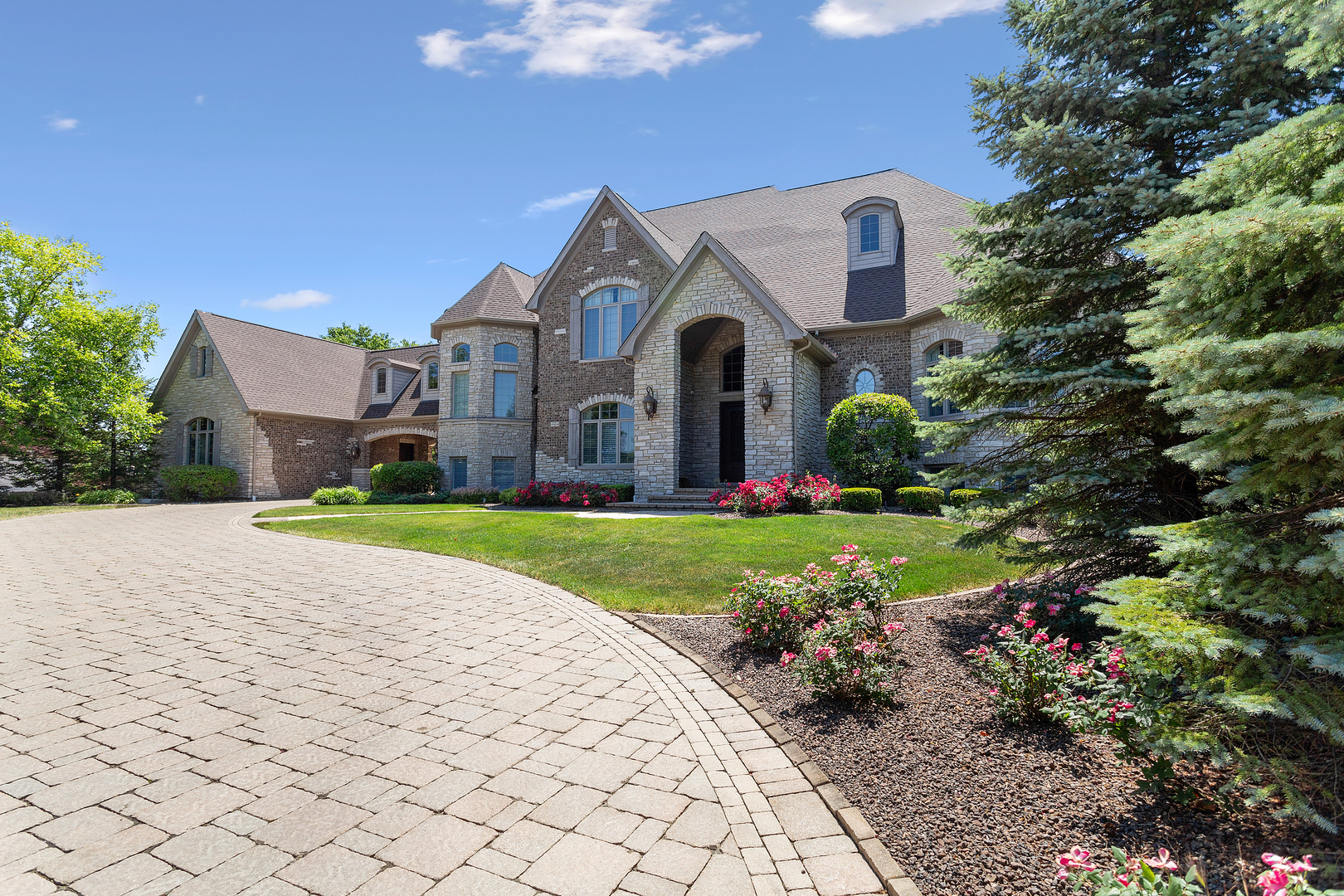 20133 Alison Trail Mokena, IL 60448 - Photo 4 of 42