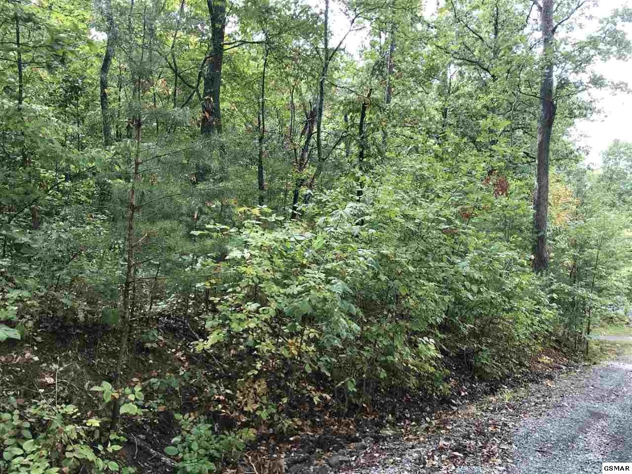 11 Johnson Road Kodak, TN 37764 - Photo 3 of 4