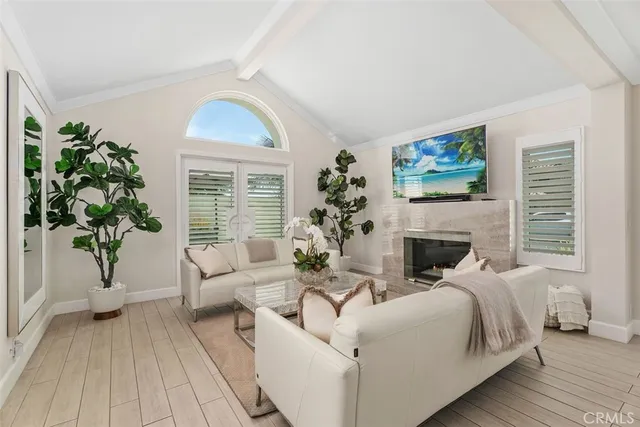 a living room with furniture fireplace and a potted plant