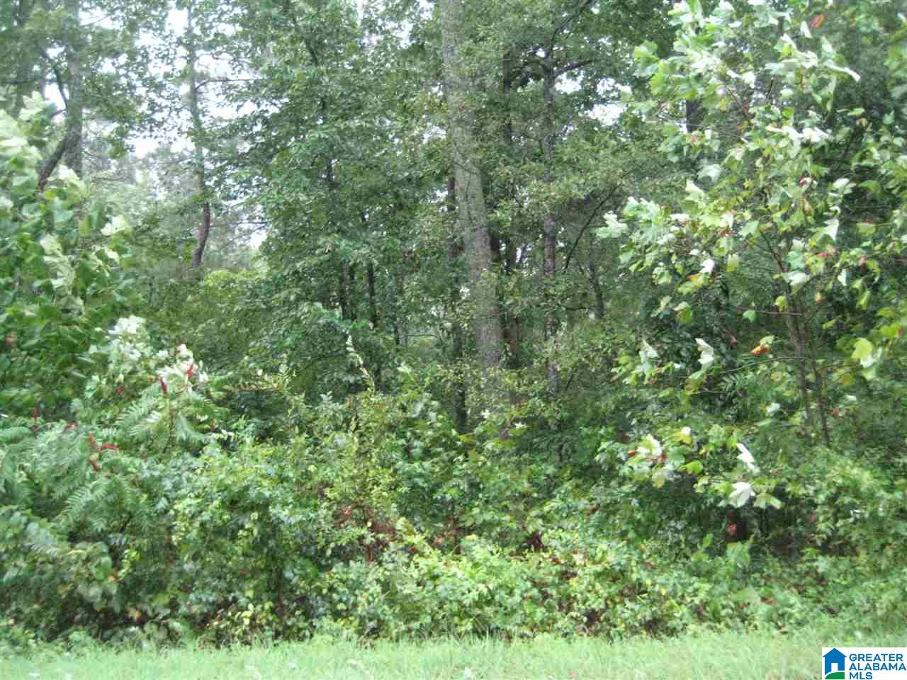37 Friendship Mountain Lane, Unit 37 Springville, AL 35146 - Photo 2 of 5
