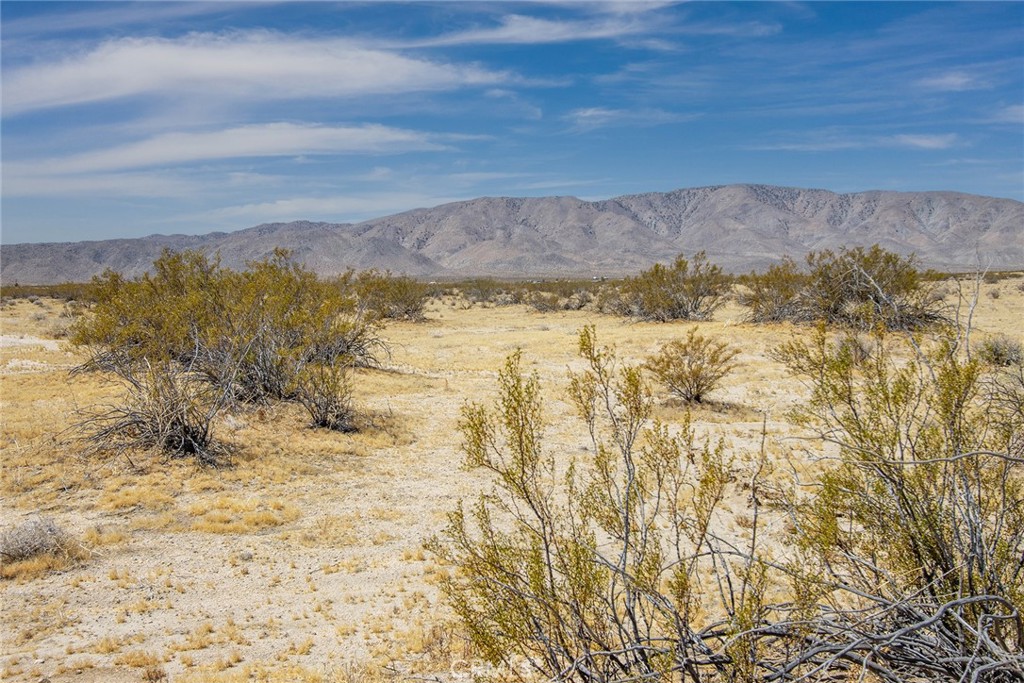 4444 Valley Vista Road Johnson Valley, CA 92285 - Photo 17 of 19 Gallery Image 17