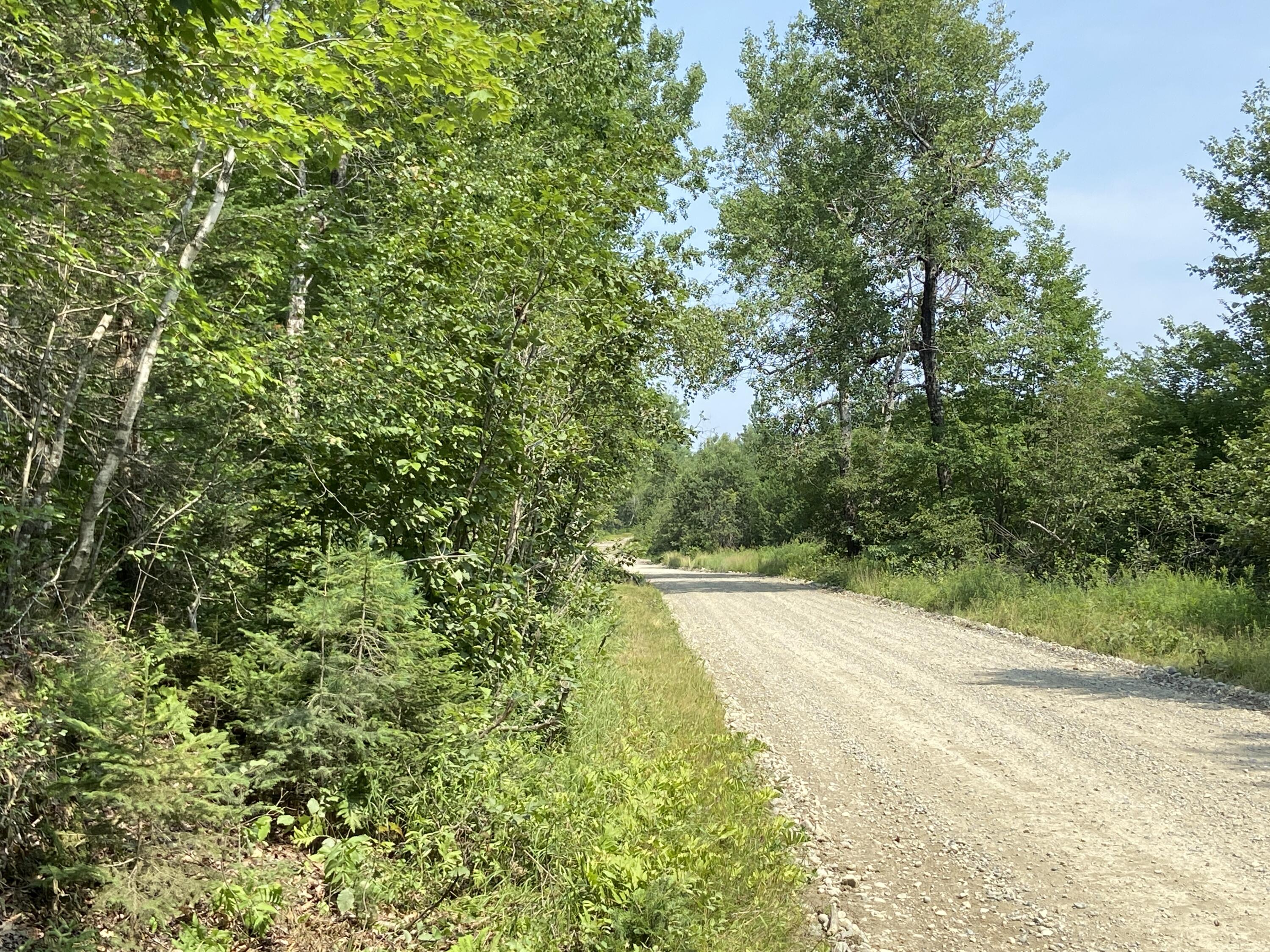 Lot 8 Georgetown Woods Road Columbia Falls, ME 04623 - Photo 4 of 13 7A567486-1898-47BC-8FB6-5008D7A360F0