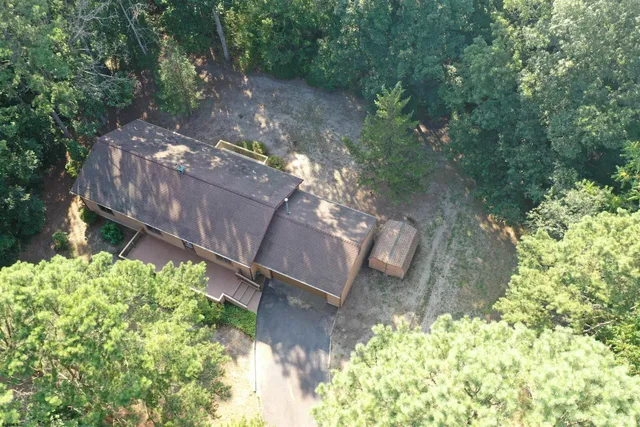 a view of a garden with plants