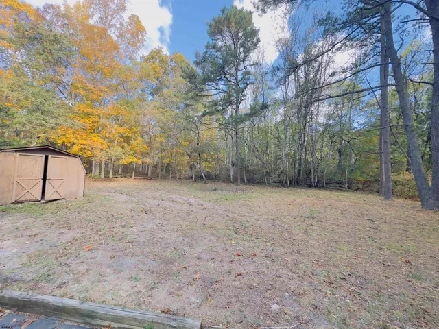 a view of a yard with trees