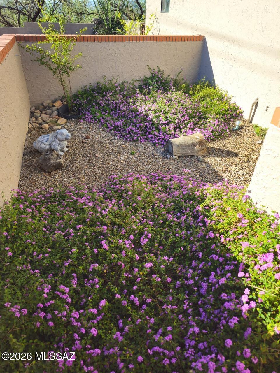 433 Camino Canoa Rio Rico, AZ 85648 - Photo 34 of 36