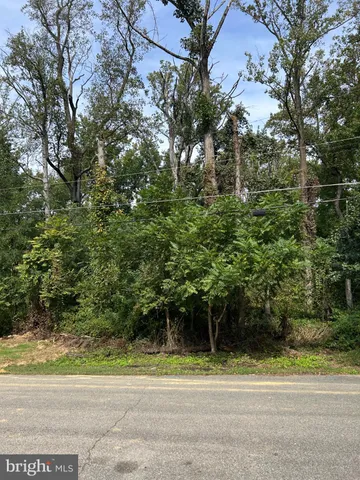a view of a yard in front of a house