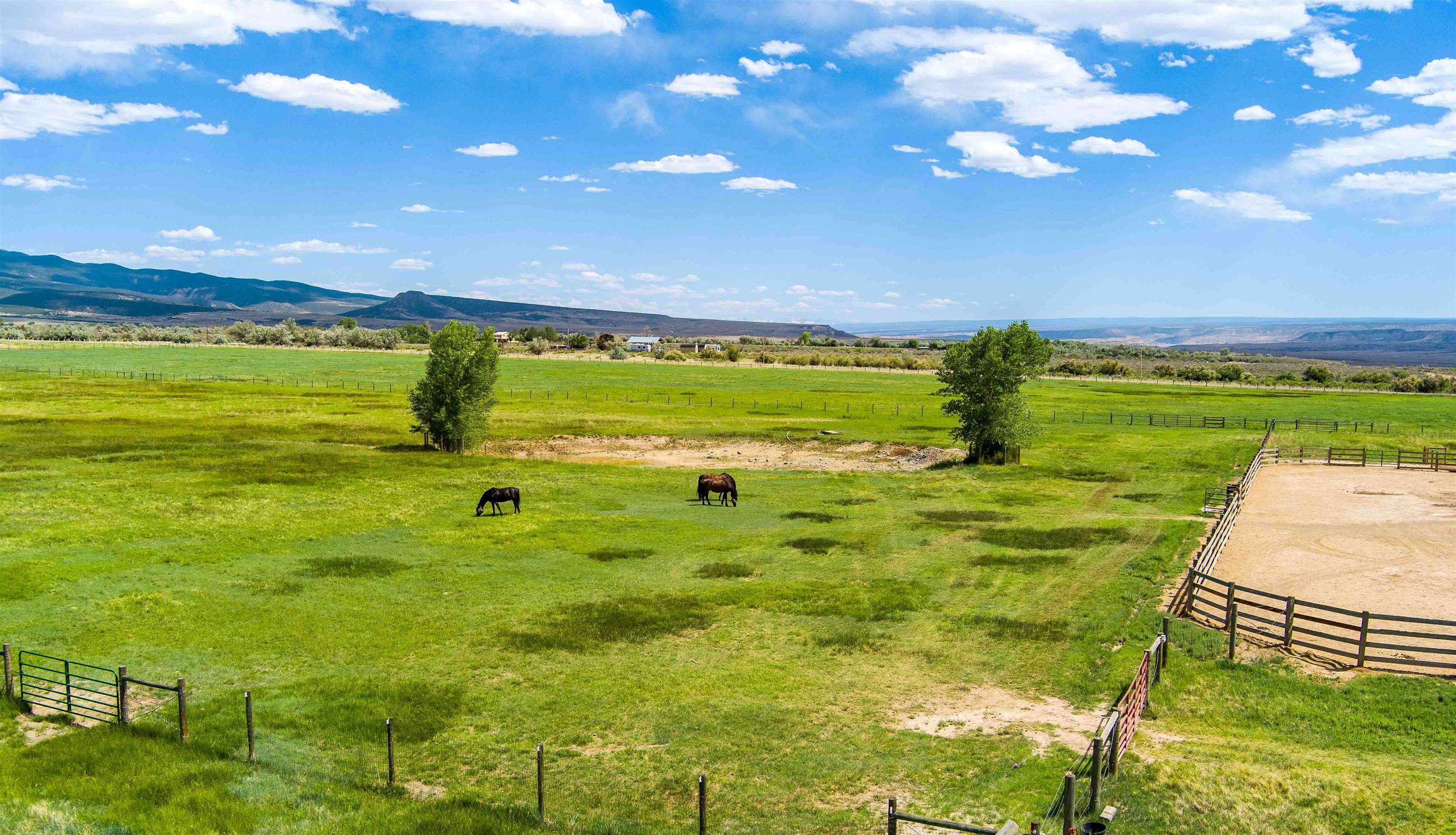 6800 Reeder Mesa Road Whitewater, CO 81527 - Photo 16 of 17 a view of an ocean from a yard