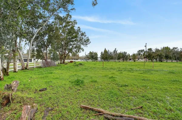 a view of a green field with trees