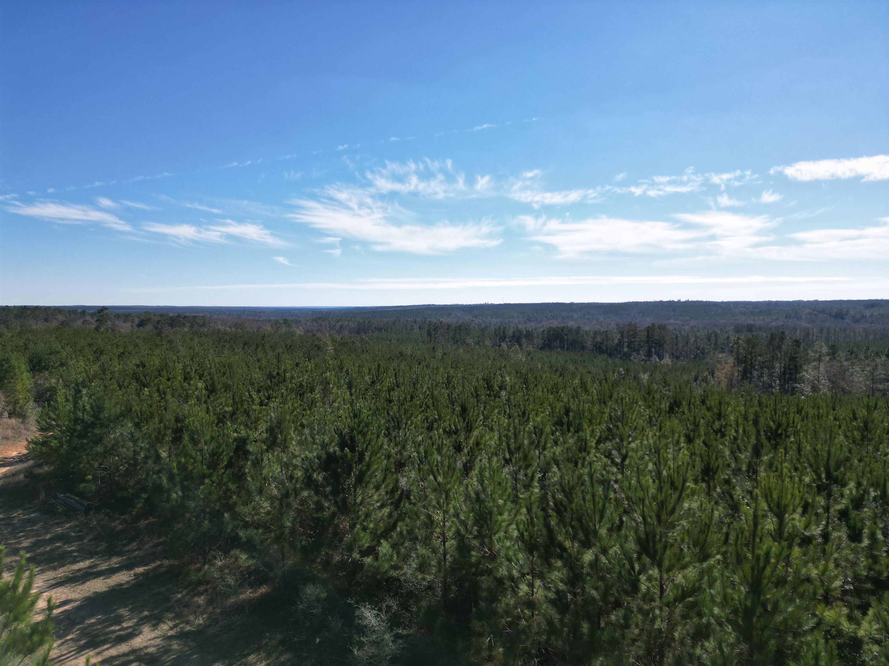 Lot 5 Robinsonville Road Atmore, AL 36502 - Photo 18 of 18