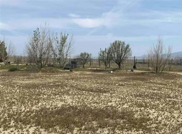 a view of a backyard of the house