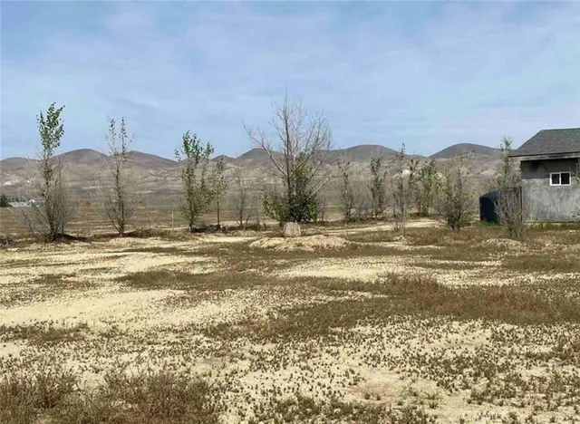 a view of a yard with wooden fence