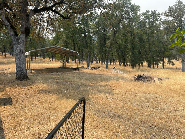 10978 Oak Run Road Oak Run, CA 96069 - Photo 12 of 17 a view of a yard with snow on the road