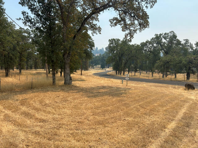 10978 Oak Run Road Oak Run, CA 96069 - Photo 13 of 17 a view of outdoor space with trees