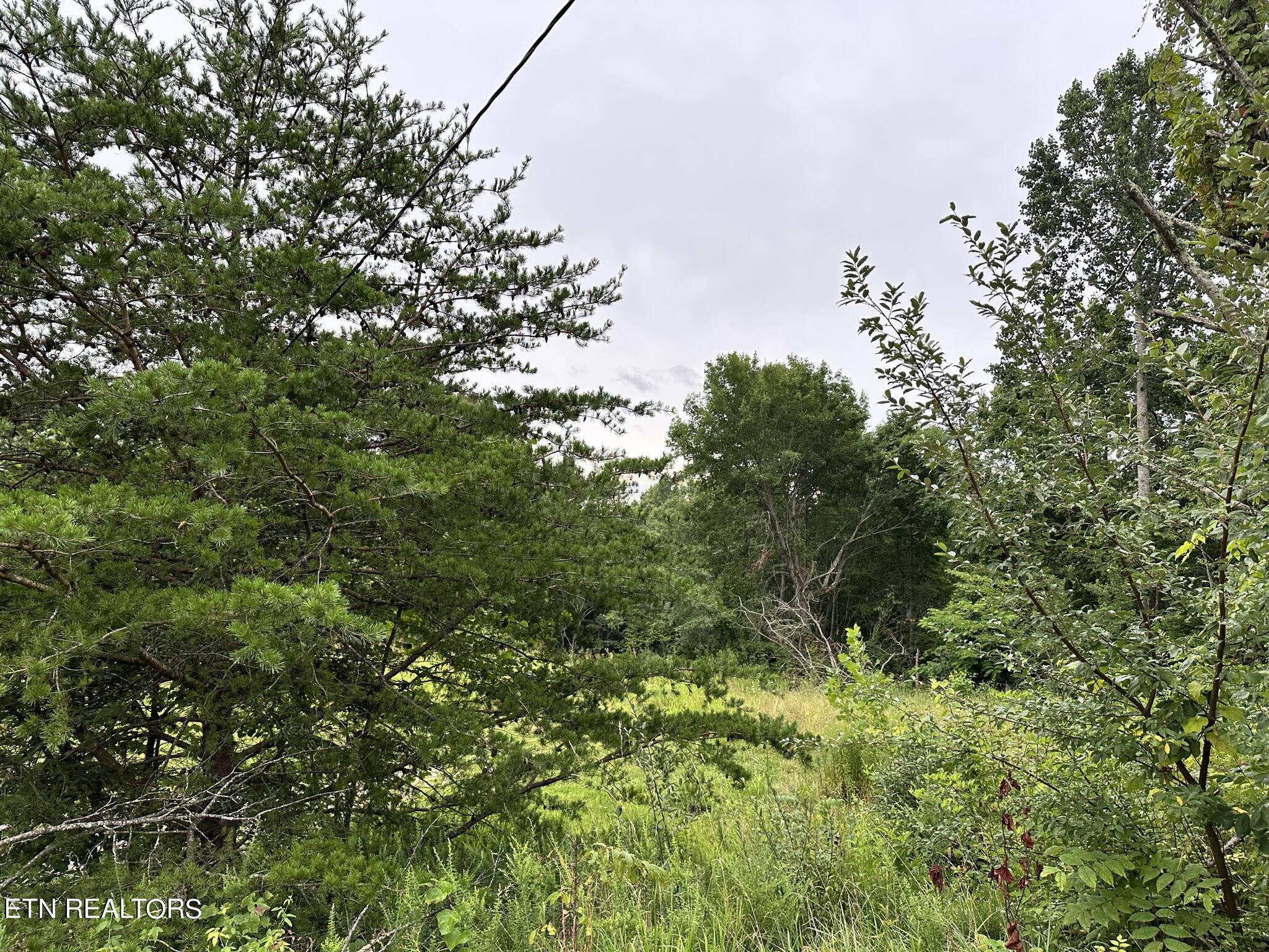 770 Landmark Road Jacksboro, TN 37757 - Photo 11 of 12 IMG_3223