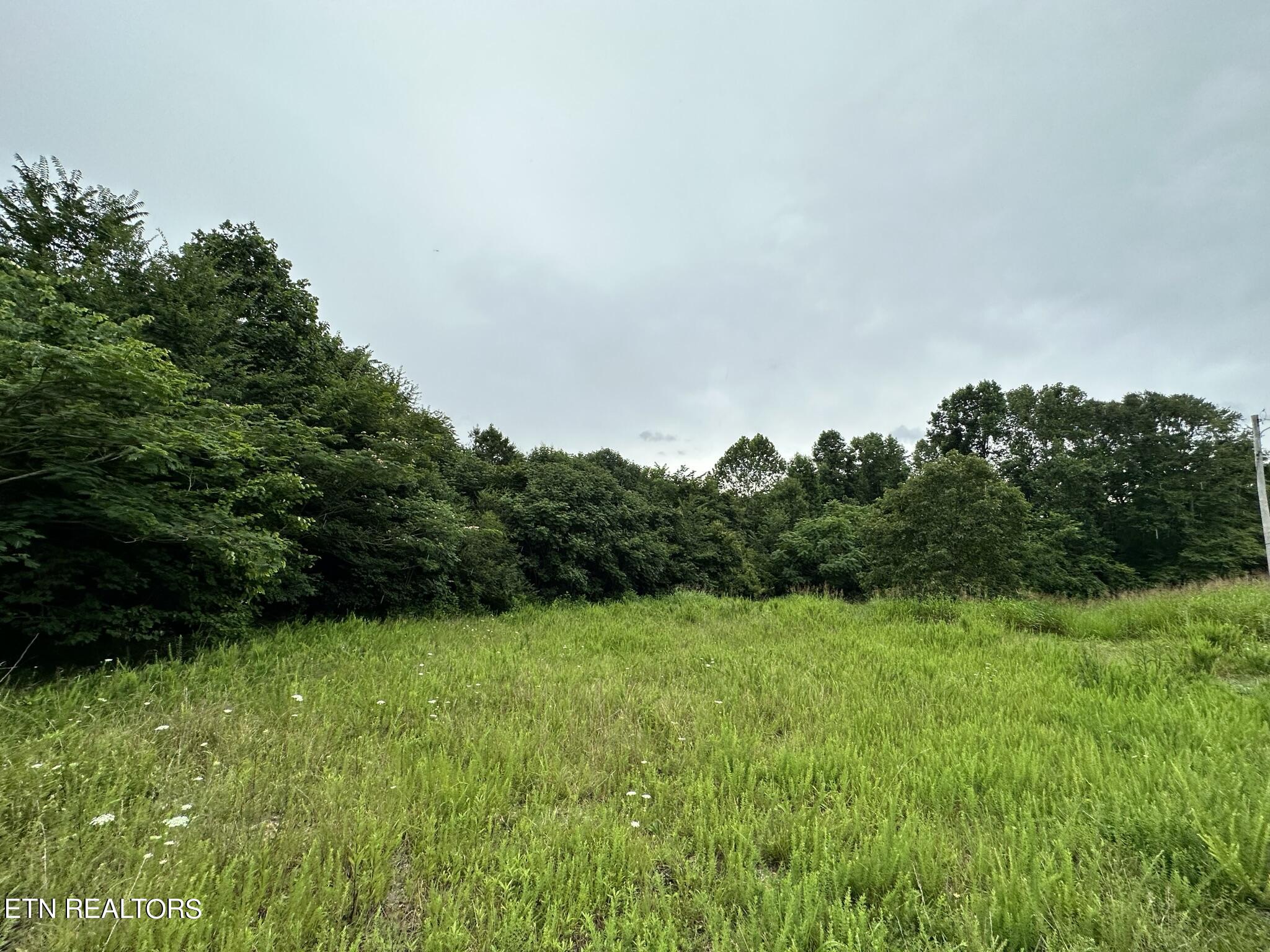 770 Landmark Road Jacksboro, TN 37757 - Photo 2 of 12 IMG_3214
