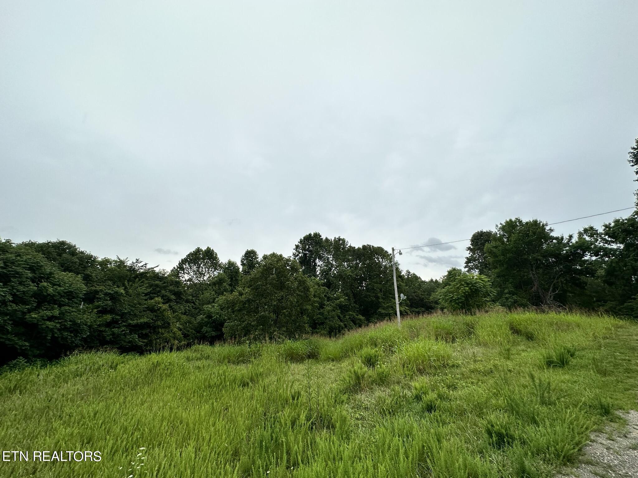 770 Landmark Road Jacksboro, TN 37757 - Photo 5 of 12 IMG_3217