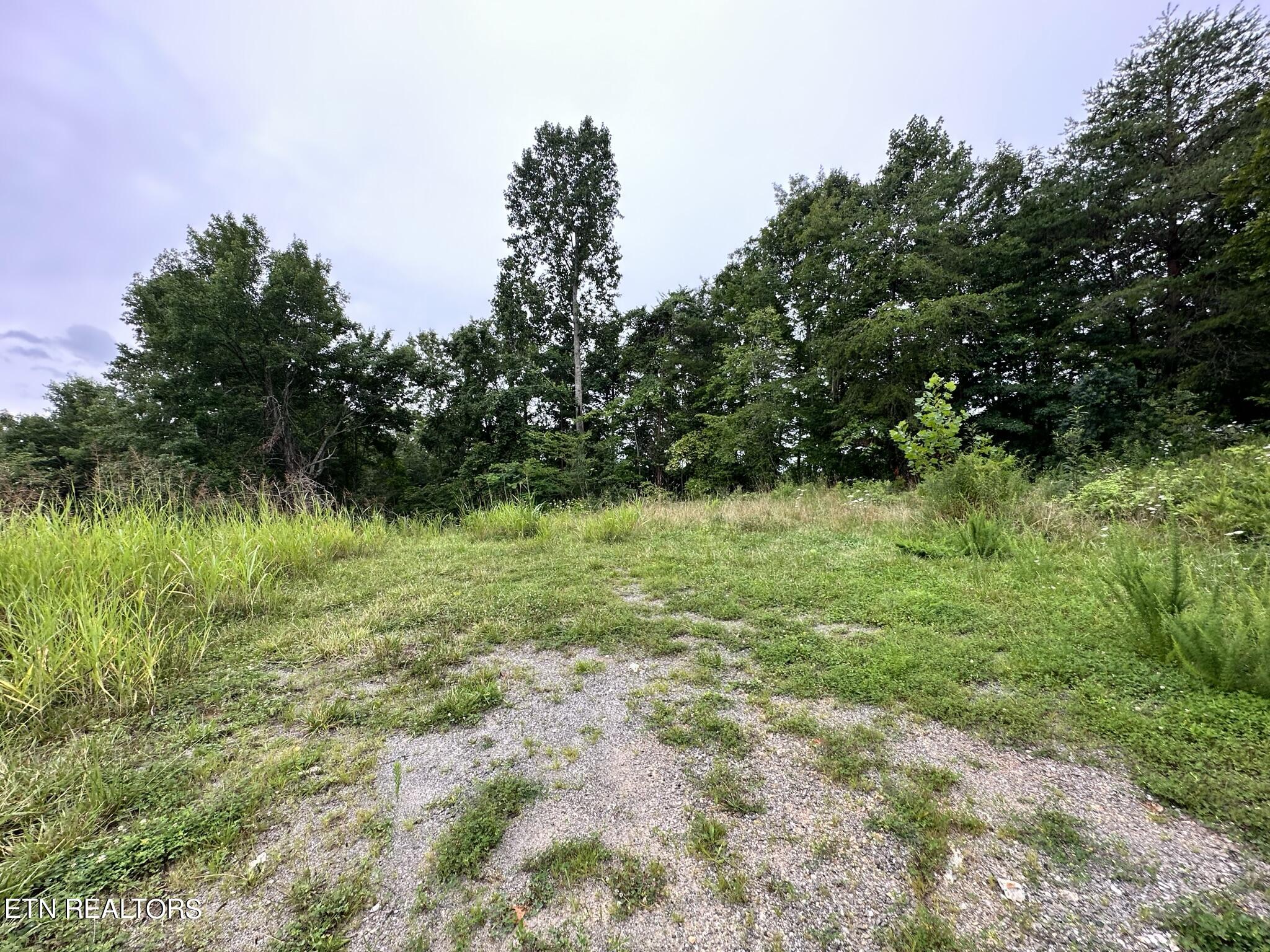 770 Landmark Road Jacksboro, TN 37757 - Photo 7 of 12 IMG_3219