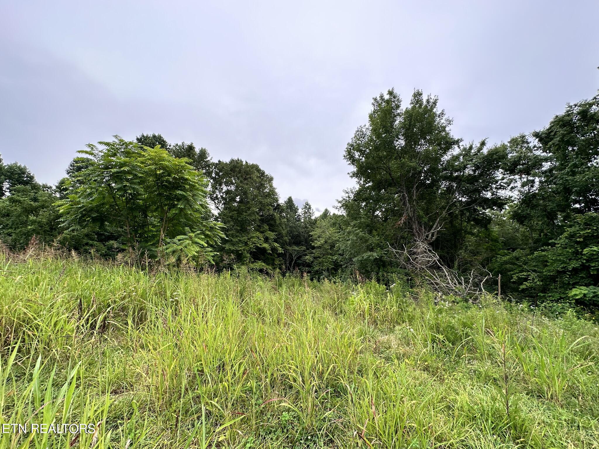 770 Landmark Road Jacksboro, TN 37757 - Photo 8 of 12 IMG_3220