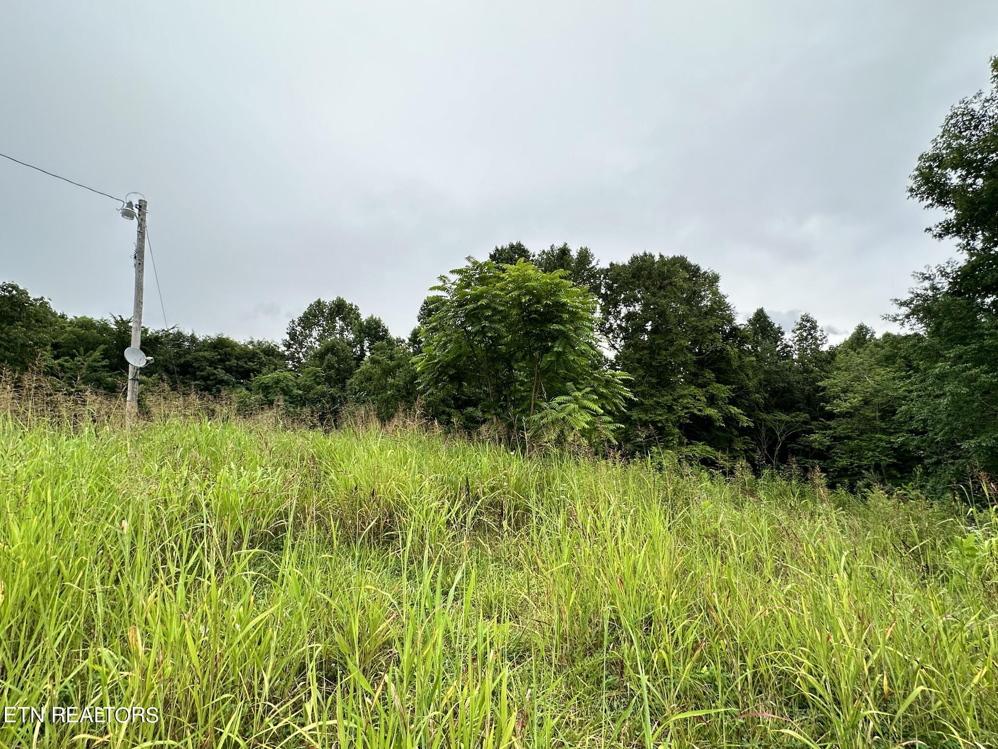 770 Landmark Road Jacksboro, TN 37757 - Photo 10 of 12 IMG_3222