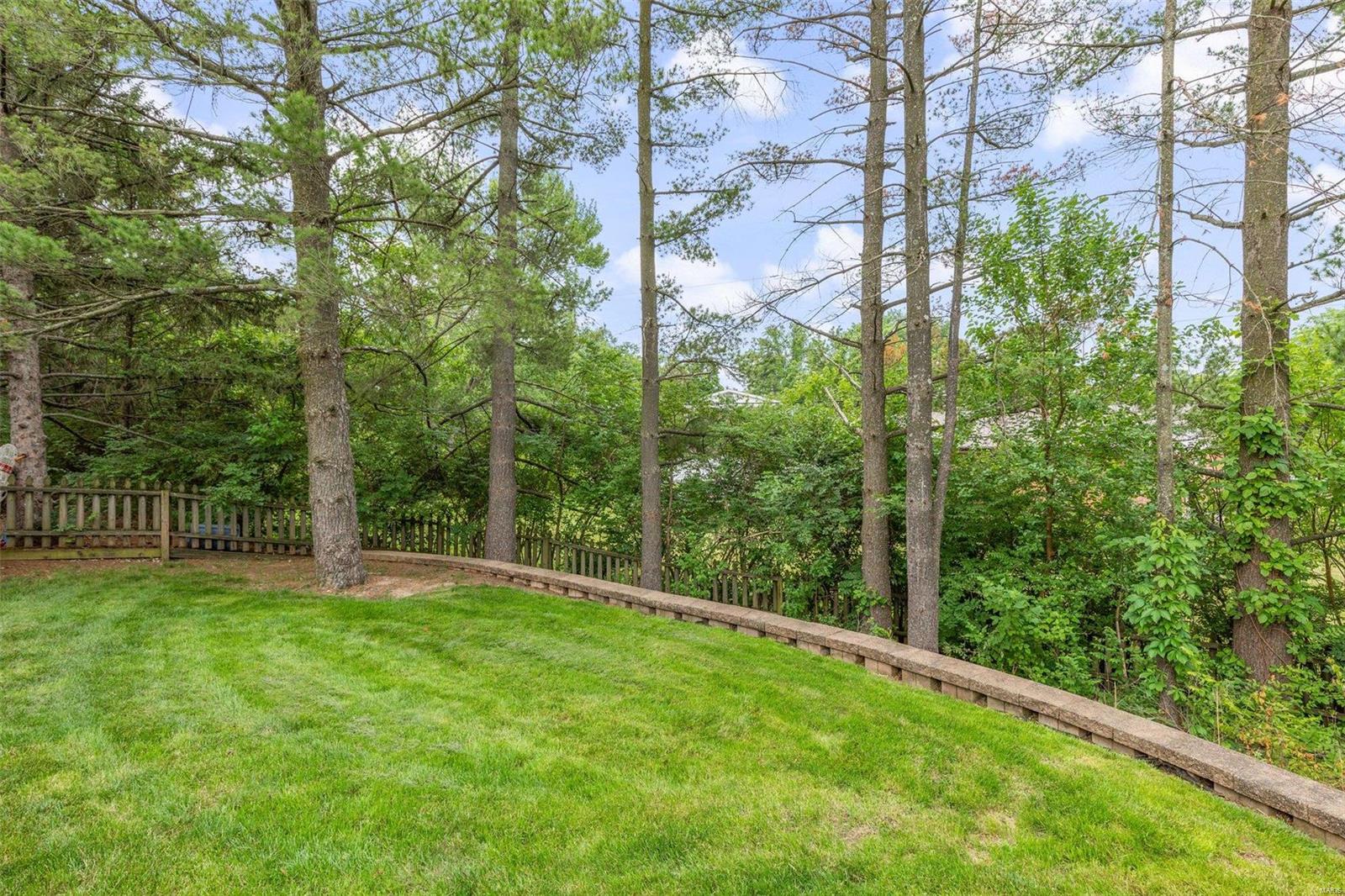 954 Chartrand Drive Ballwin, MO 63011 - Photo 6 of 44