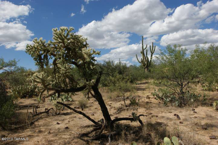 0 North K6 Ranch Road Tucson, AZ 85755 - Photo 9 of 12