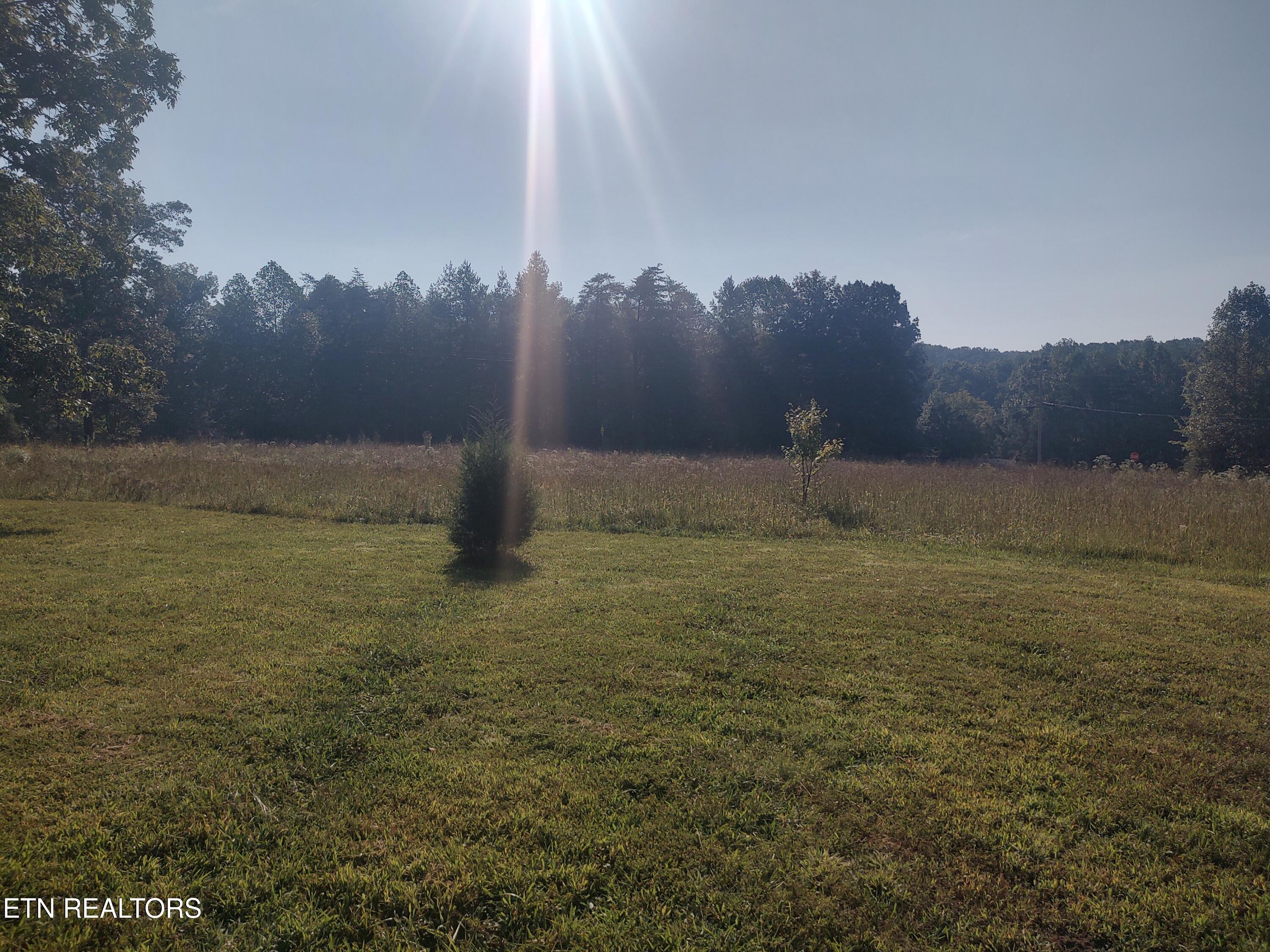 106 Swafford Road Spring City, TN 37381 - Photo 15 of 46 1000021973