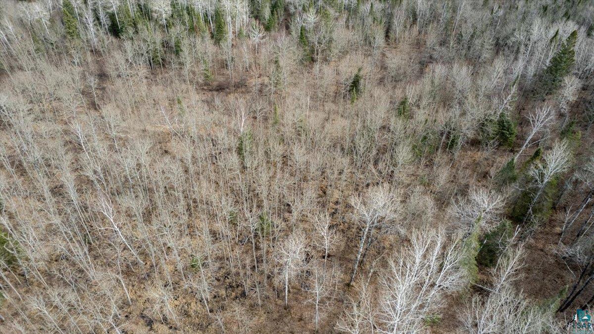Xxx Castle Road Duluth, MN 55803 - Photo 3 of 4