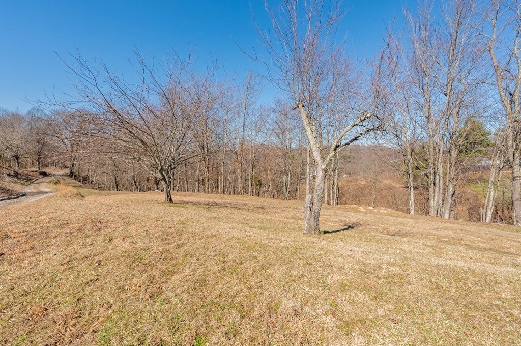 110 Tayberry Road Bandy, VA 24602 - Photo 73 of 75 Gallery Image 73