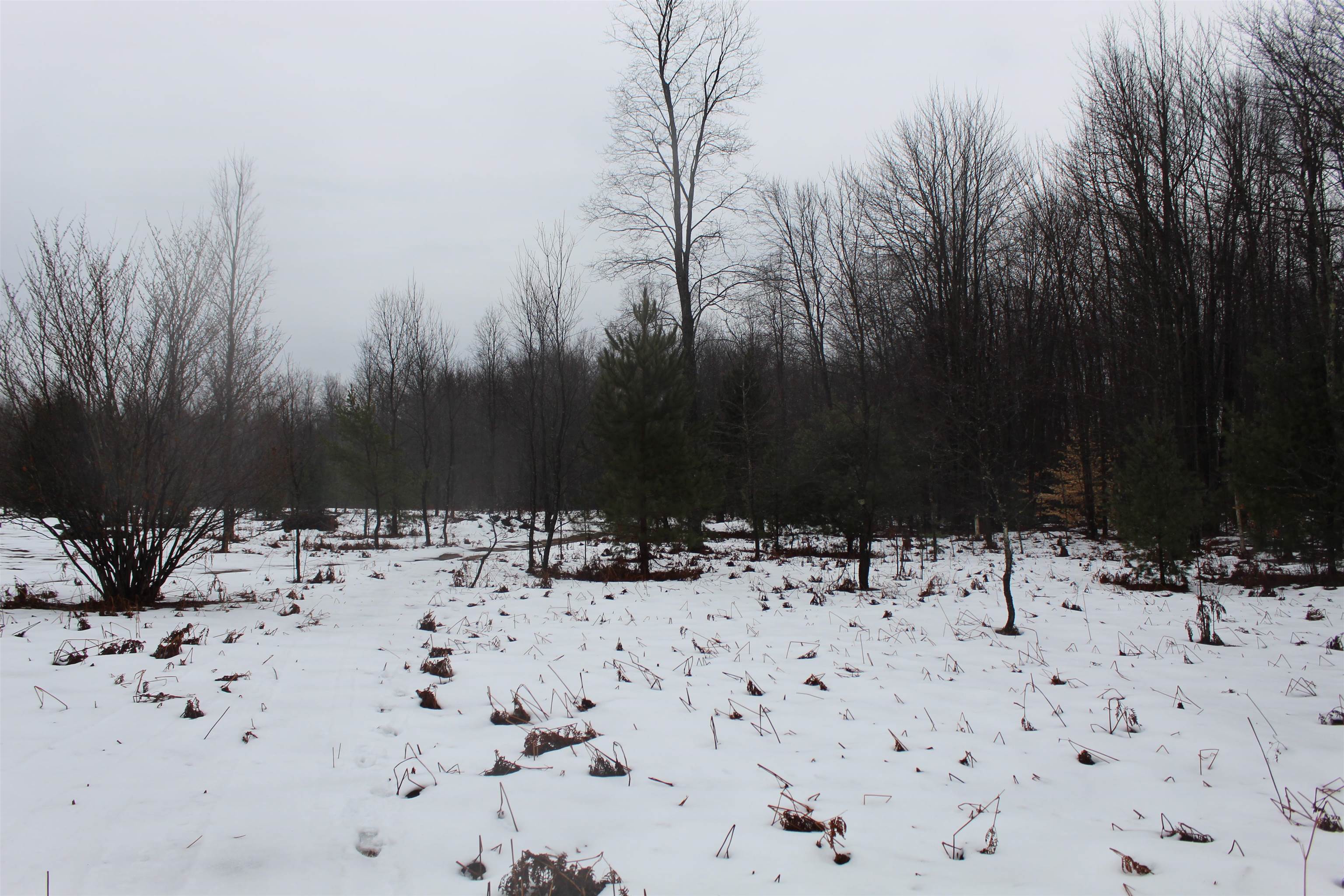 15906 Lindy Road Thompsonville, MI 49683 - Photo 7 of 13 1929899-0dfe70d0-5817-46db-8f58-a0bfdcd6f5f2.JPG