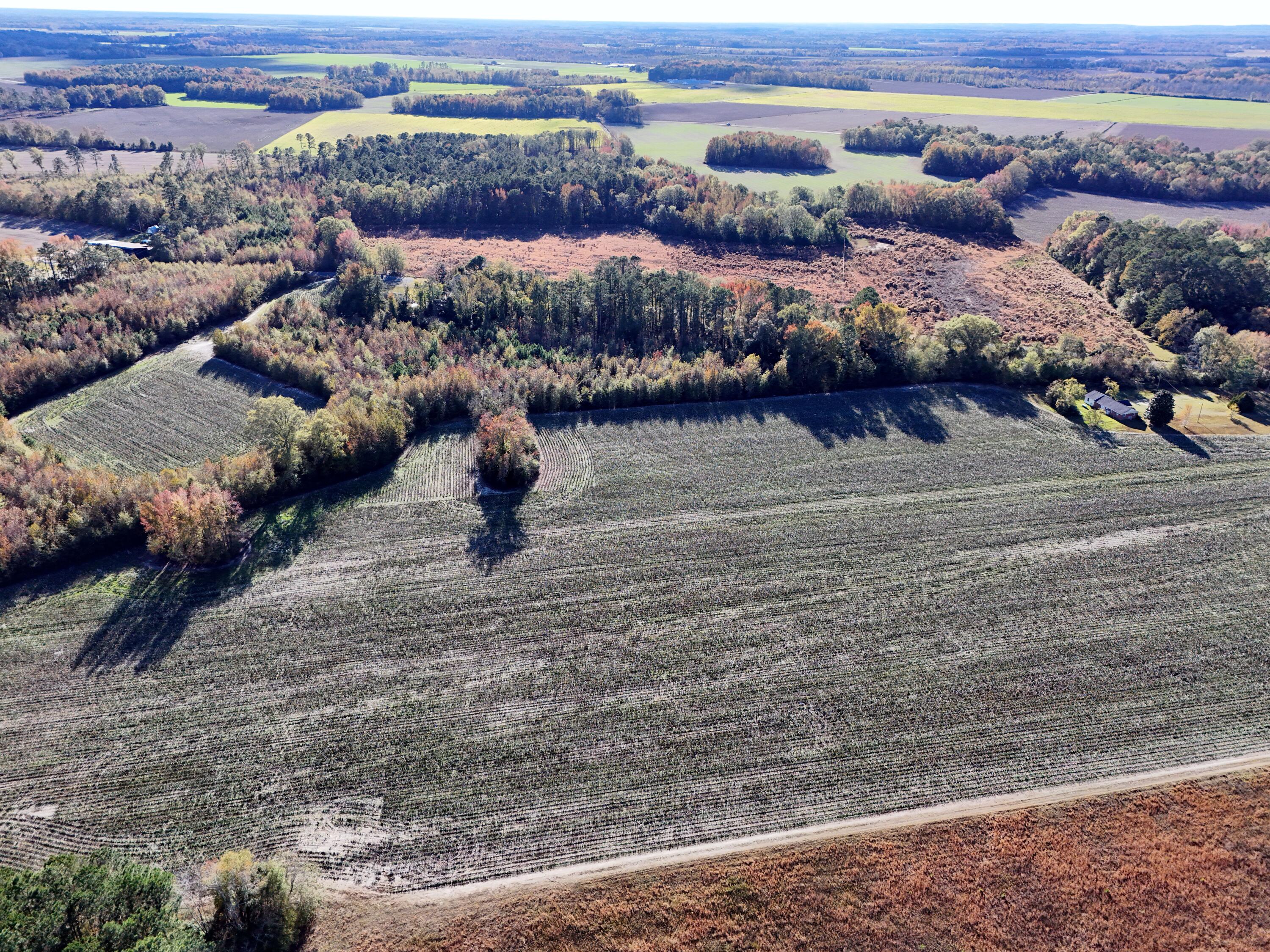 0 Bradley Road Bishopville, SC 29010 - Photo 2 of 4