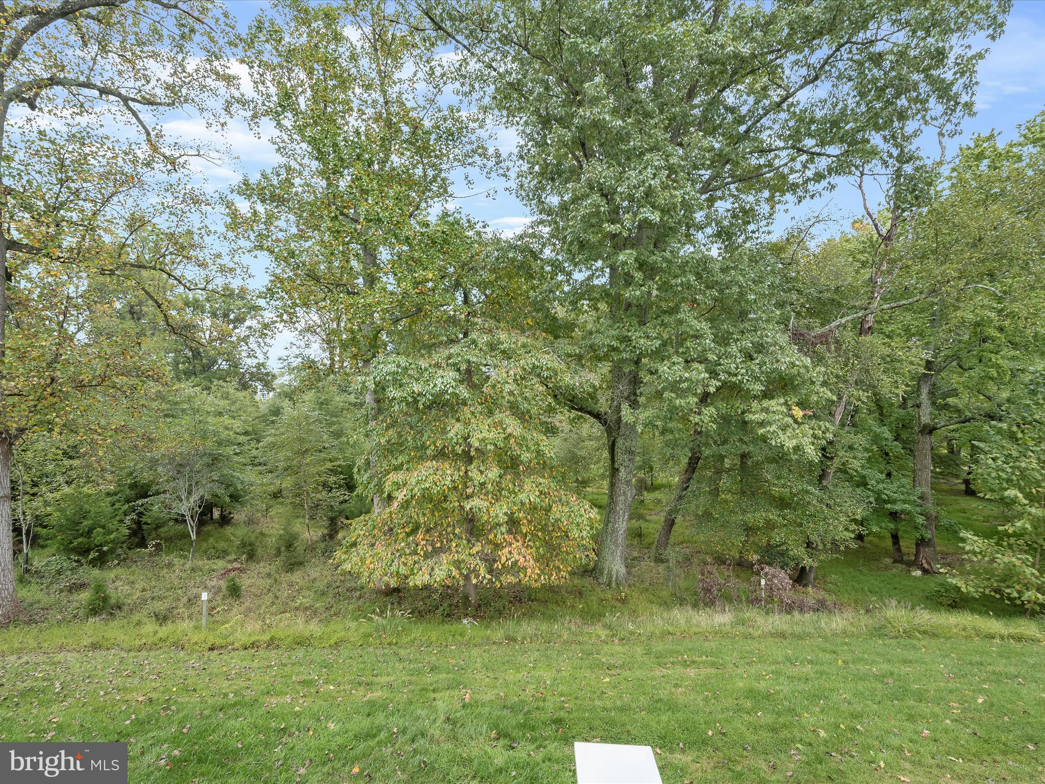 1504 Rabbit Hollow Place Silver Spring, MD 20906 - Photo 56 of 65 Beautiful trees
