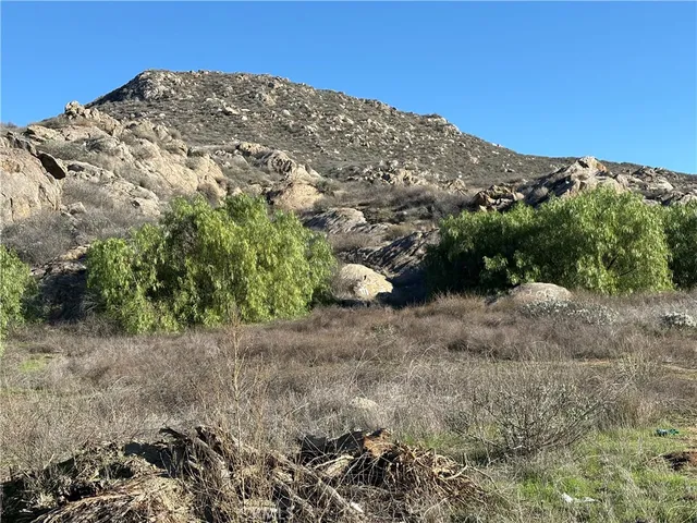 a view of a dry yard with trees