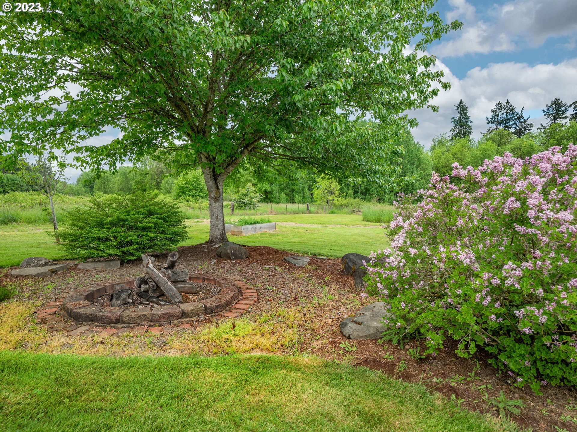56470 Hazen Road Warren, OR 97053 - Photo 31 of 39 a view of a park with large trees